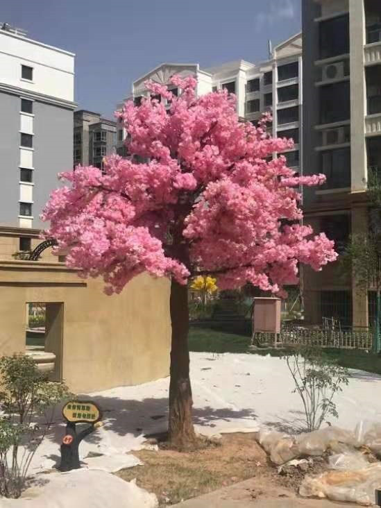 พืชเทียม